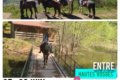 SABOTS EN GOGUETTE