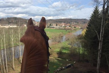 Ecuries du saut des Vosges