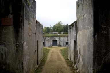 Ben Mankin-FrenchEntrée