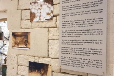 Les Amis de la Pierre