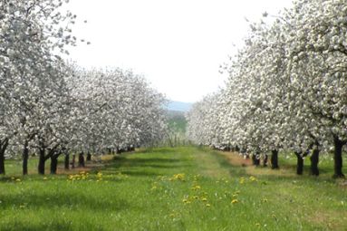 Domaine de Sion