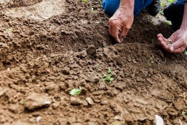 ©City of Landscapes