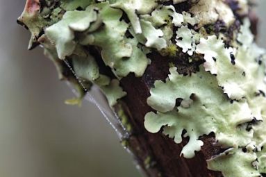 ©City of Landscapes