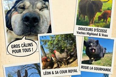 Les Régals d'Etreval