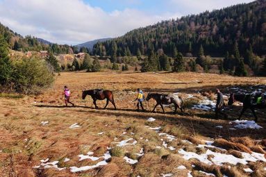 CRINS DES VOSGES