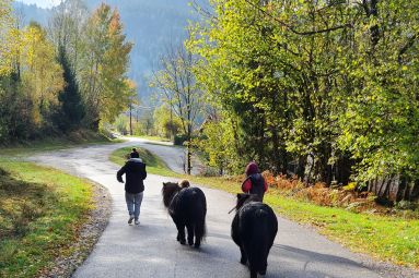 Complicités animales