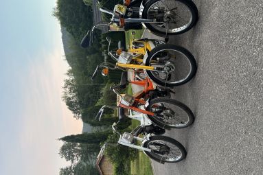 Vosges en mob