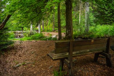©GérardmerTourisme-M.Bossi