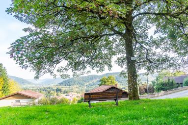 ©GérardmerTourisme-M.Bossi