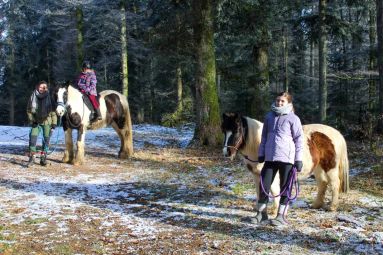 HORSE SPIRIT GRANGES AUMONTZEY