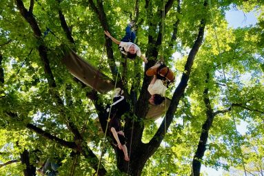 Esprit Libre - Grimpe d'arbre 2