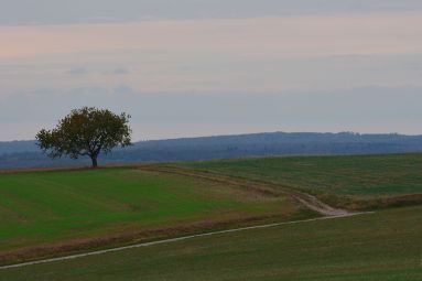 Xertigny en transition