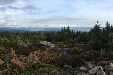 Albane Lessard