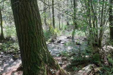 Epinal Tourisme