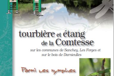 Conseil Départemental des Vosges