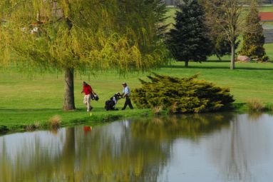 GOLF