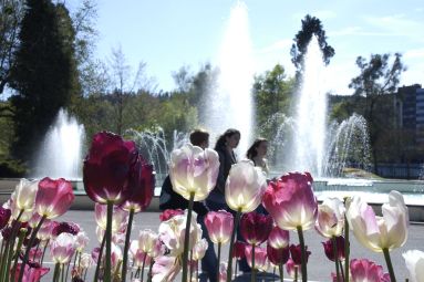 Parc du Cours - Epinal