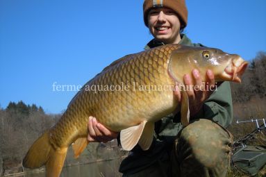 Aquaculturedici3