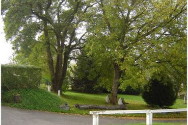 Panoramic 3