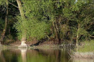 © OT pays de charmes Sandrine