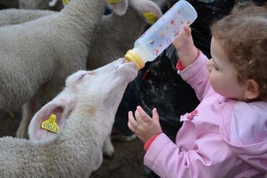 Ferme de Woimbey