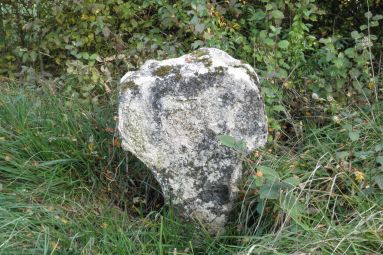La grolle sammielloise