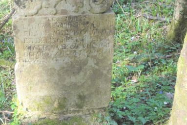 La grolle sammielloise