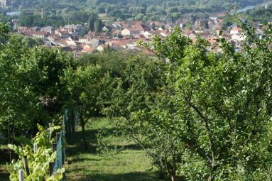 Mairie d'Ars-sur-Moselle
