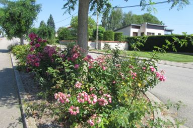 Mairie de Courcelles-sur-Nied