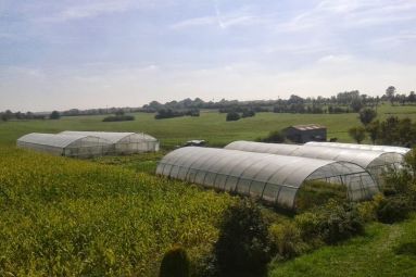 Les Jardins de Guenviller