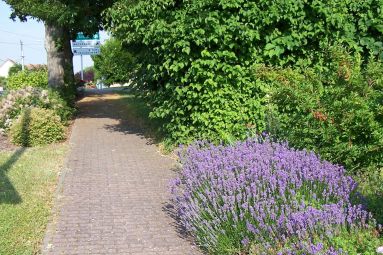 Commune de Barst
