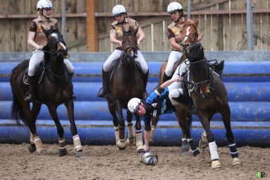 Yutz Equitation