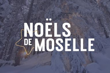 Moselle Attractivité