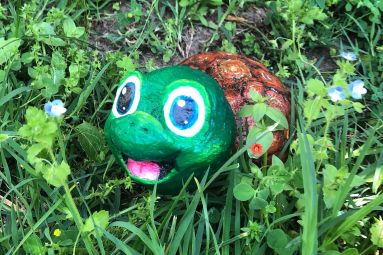 Petite Tortue