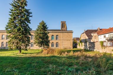 Patrice BUCHER – OT du Pays de Phalsbourg