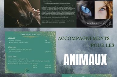 Association Equi donne des ailes