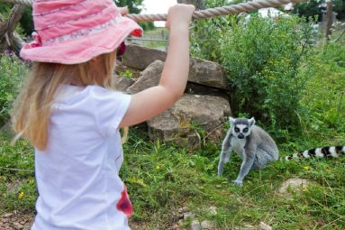 Parc animalier de Ste Croix - Morgane Bricard