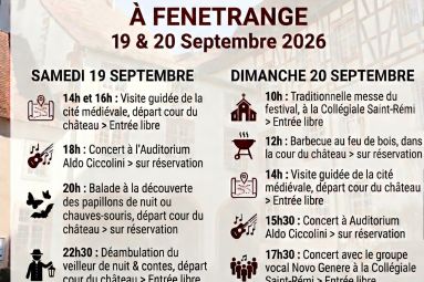 Mairie Fénétrange