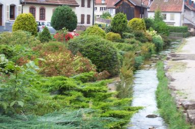 Anne Jolas - Collection Moselle Tourisme