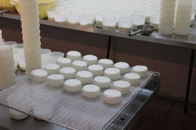 ccs