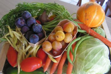 Le_Jardin_d'Abby