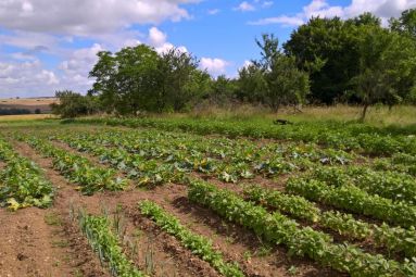 Le_Jardin_d'Abby