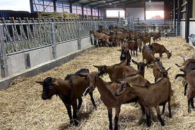 Ferme des Ensanges