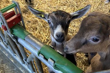 Ferme des Ensanges