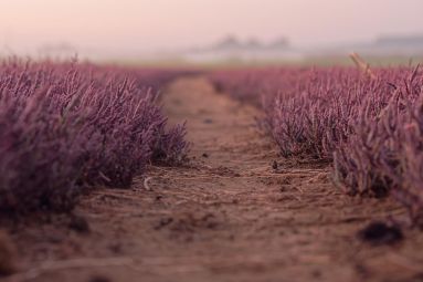 Terres et partages