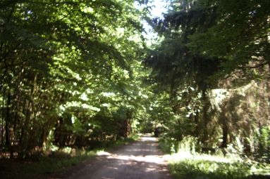 OT FORBACH
