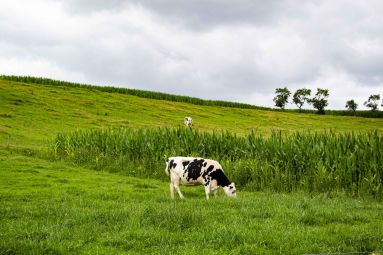 Trois Frontières Tourisme