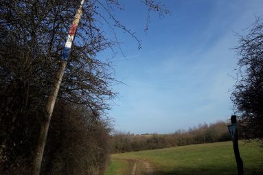 OT Saint-Avold Coeur de Moselle