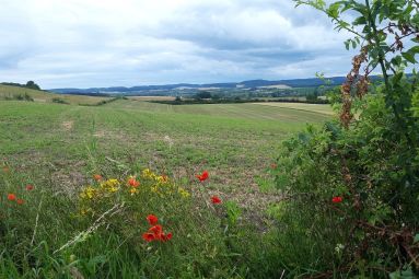 OT Saint-Avold Coeur de Moselle