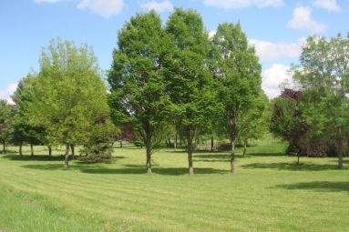 Communuauté de Communes du Pays des Etangs